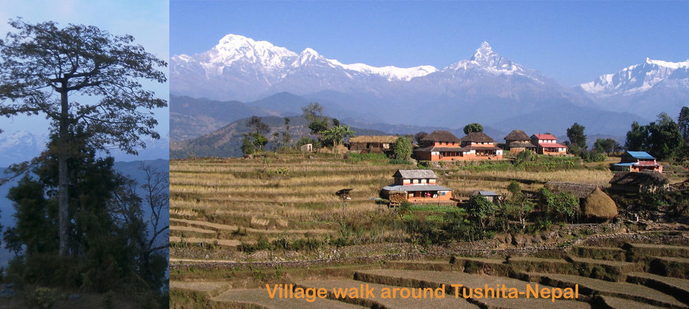 ホテル Tushita Nepal Yoga Retreat Center ポカラ エクステリア 写真